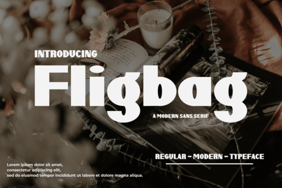 Fligbag: A Modern Sans Display Font for Bold Brand Identity