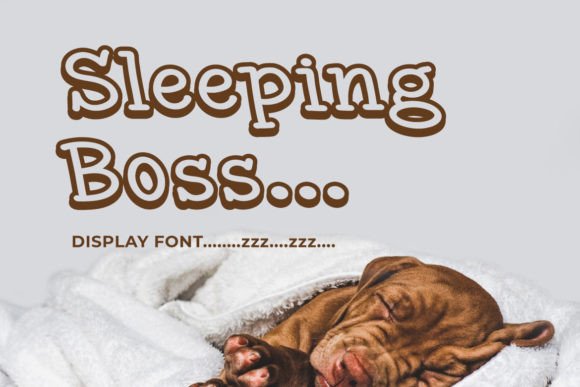 Sleeping Boss: The Display Typeface That Stops the Scroll
